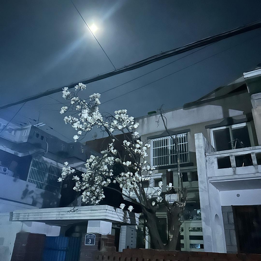 一年