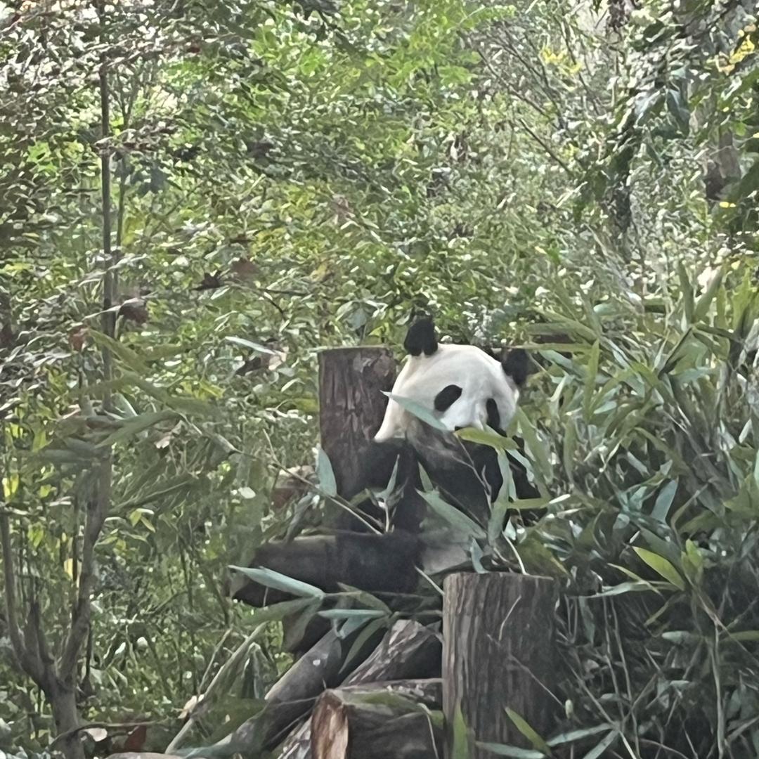 安徽升学规划蔡老师