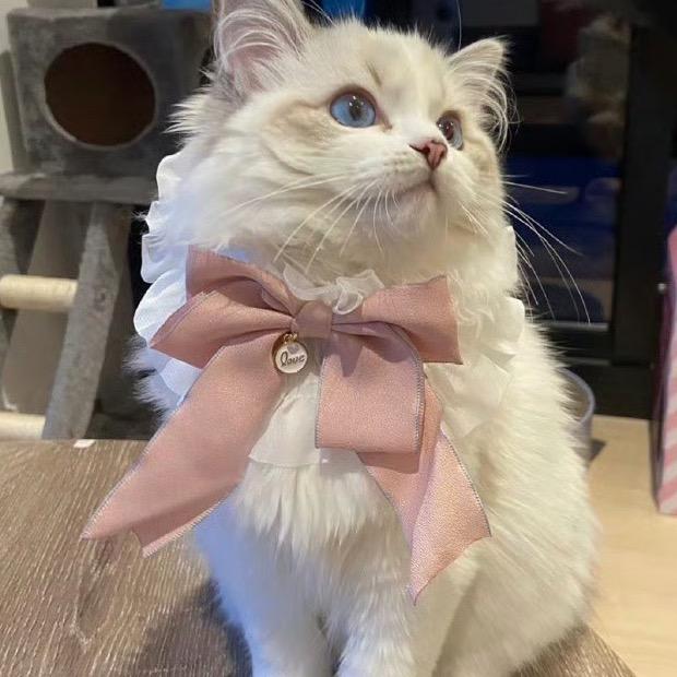 壹家女装工作室