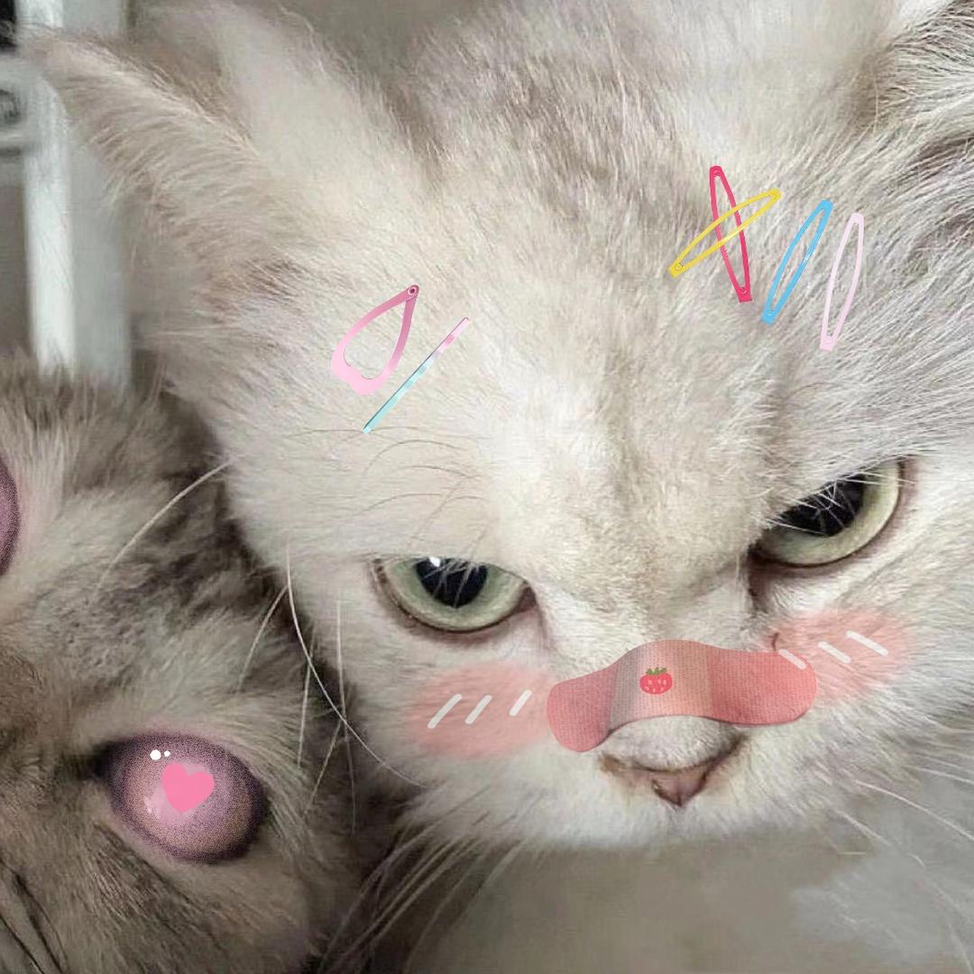 曦嘻嘻