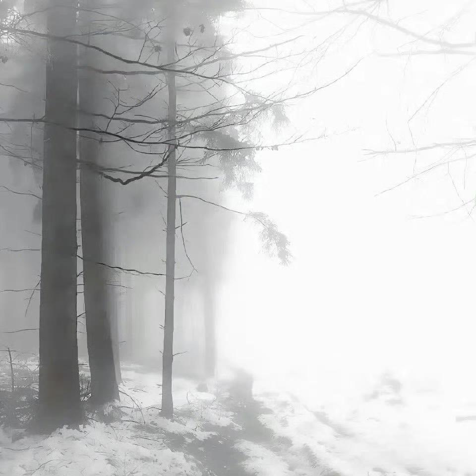 惜惜手作🪵