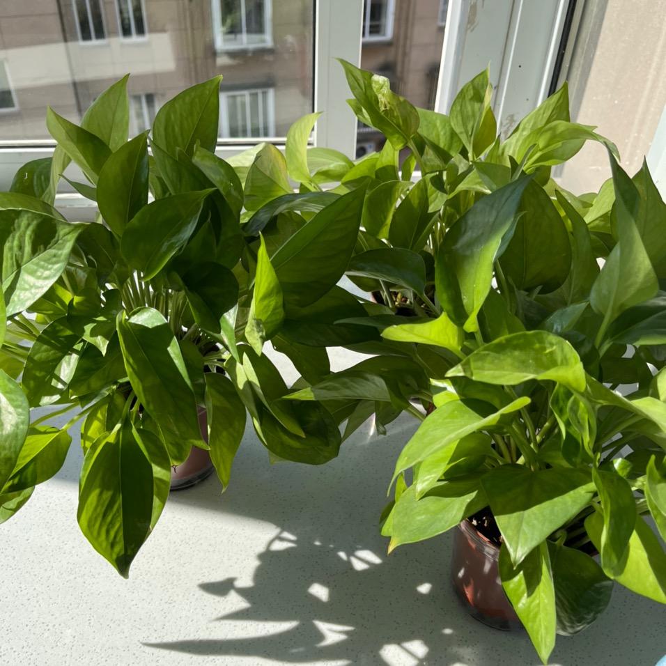 💞ꦿ如᭄ღ梦᭄初ꦿཽ࿆醒᭄ꦿ