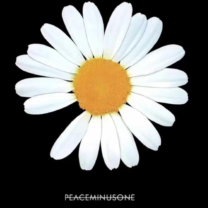 🌼 Y、