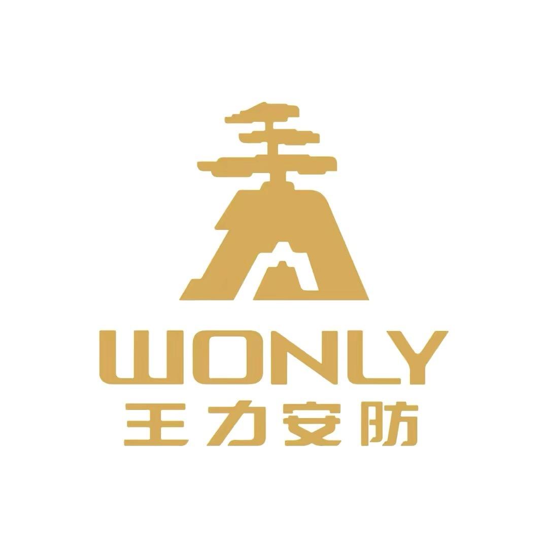 王力保险柜