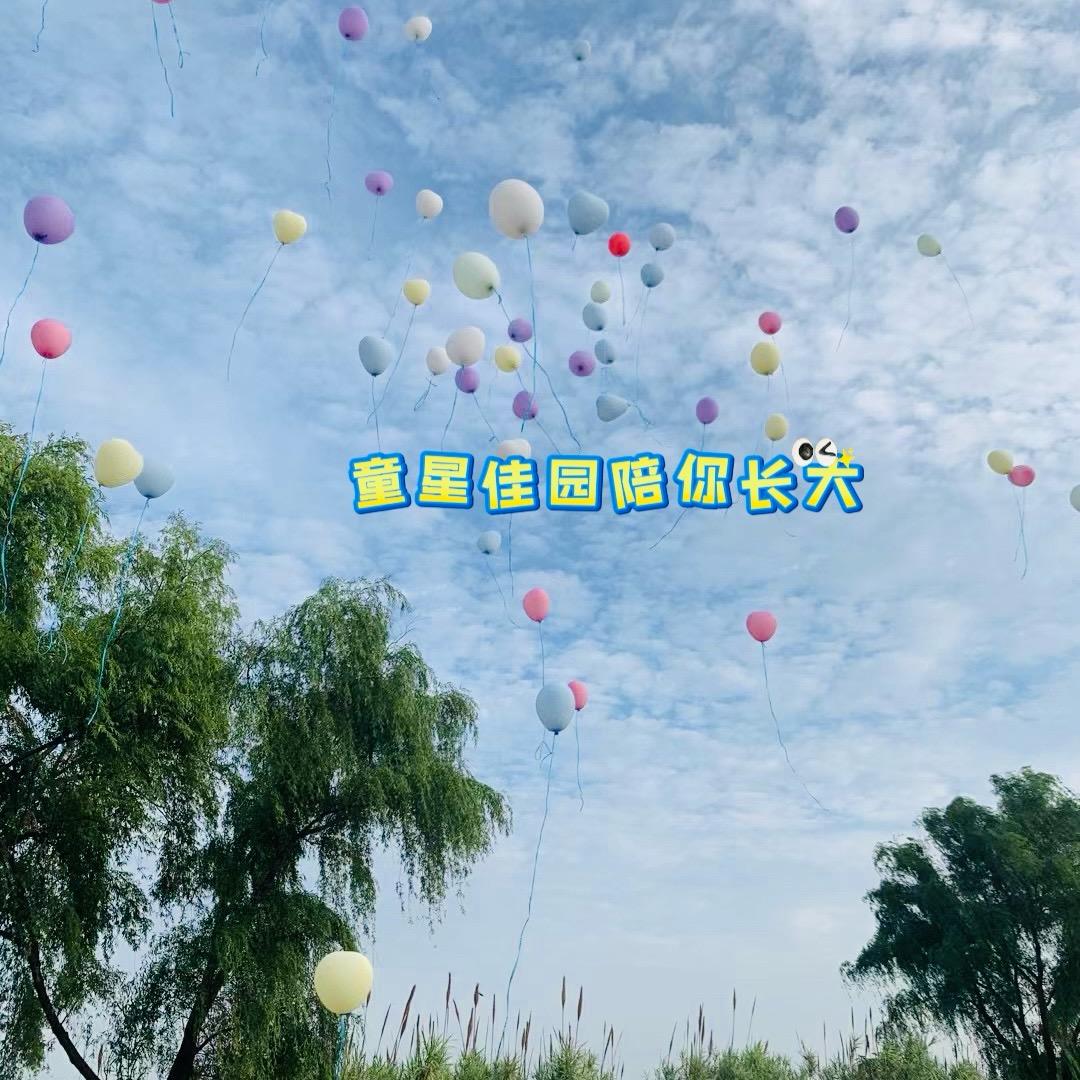 童星佳园艺术培训中心