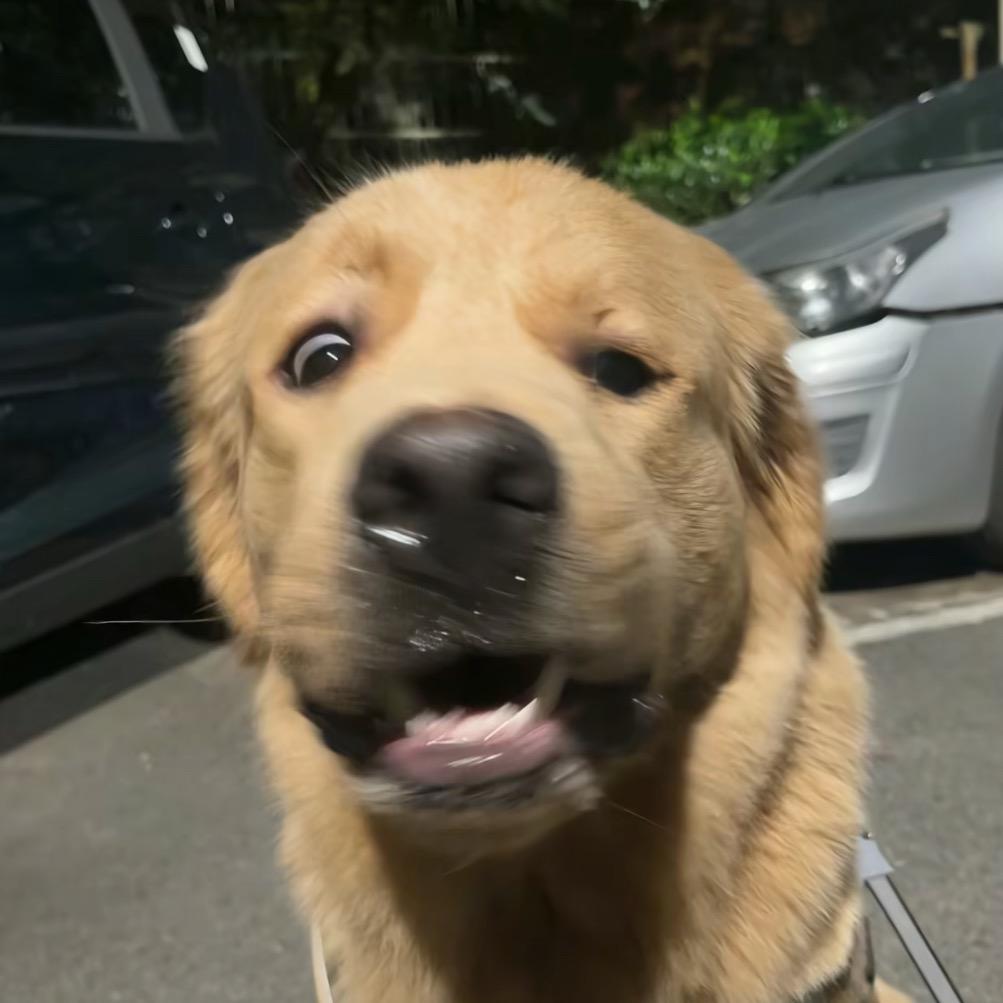 一个蓄意轰拳真实所有娘袍