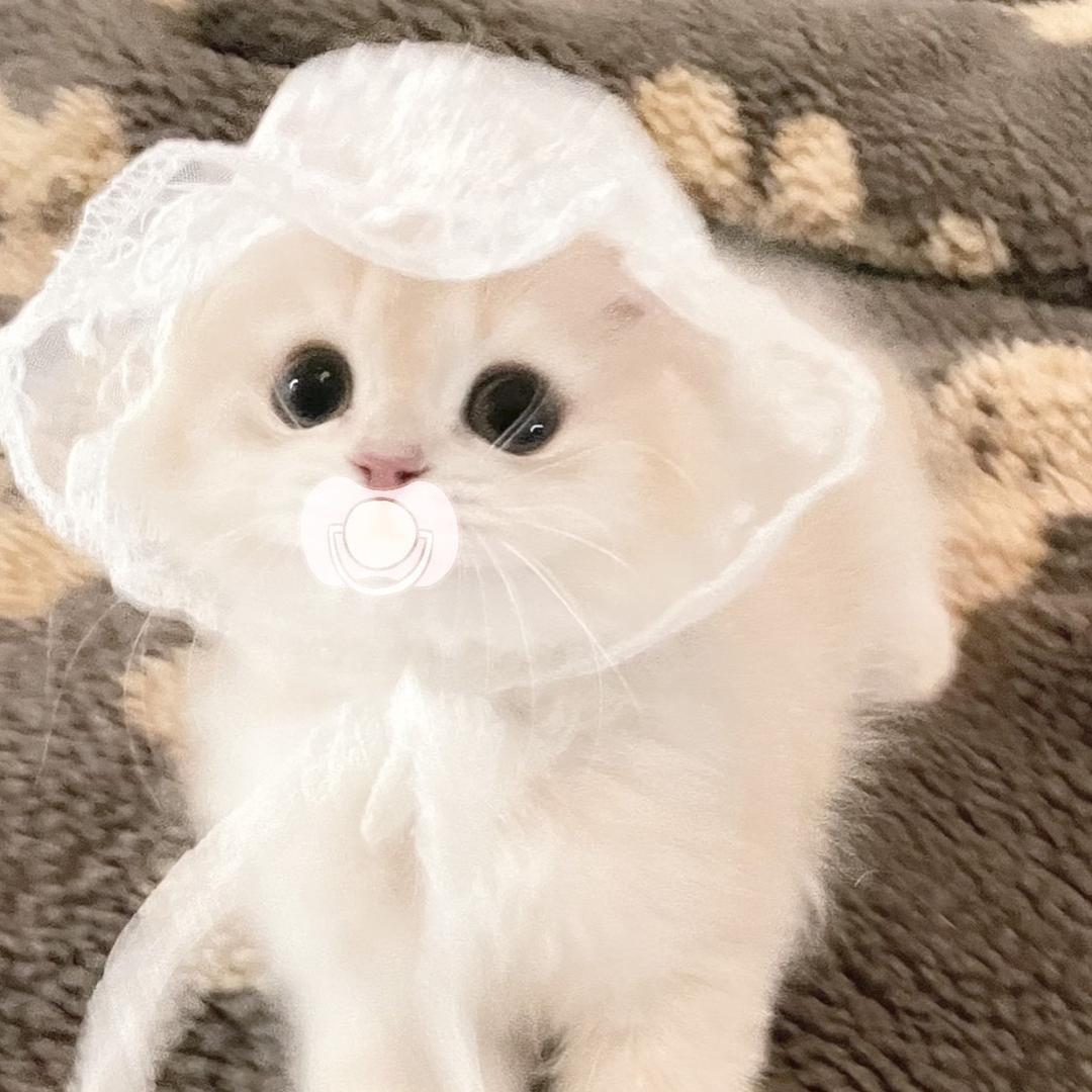 小薇泥