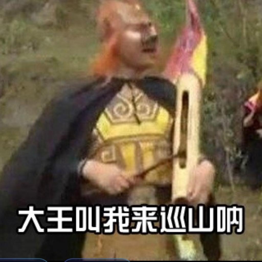 大王让我来巡山