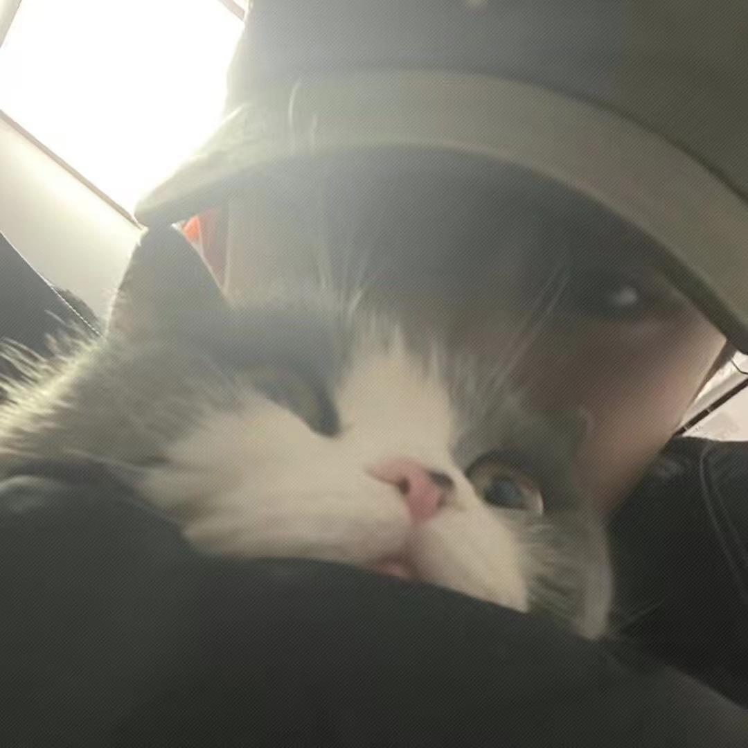 独木舟_