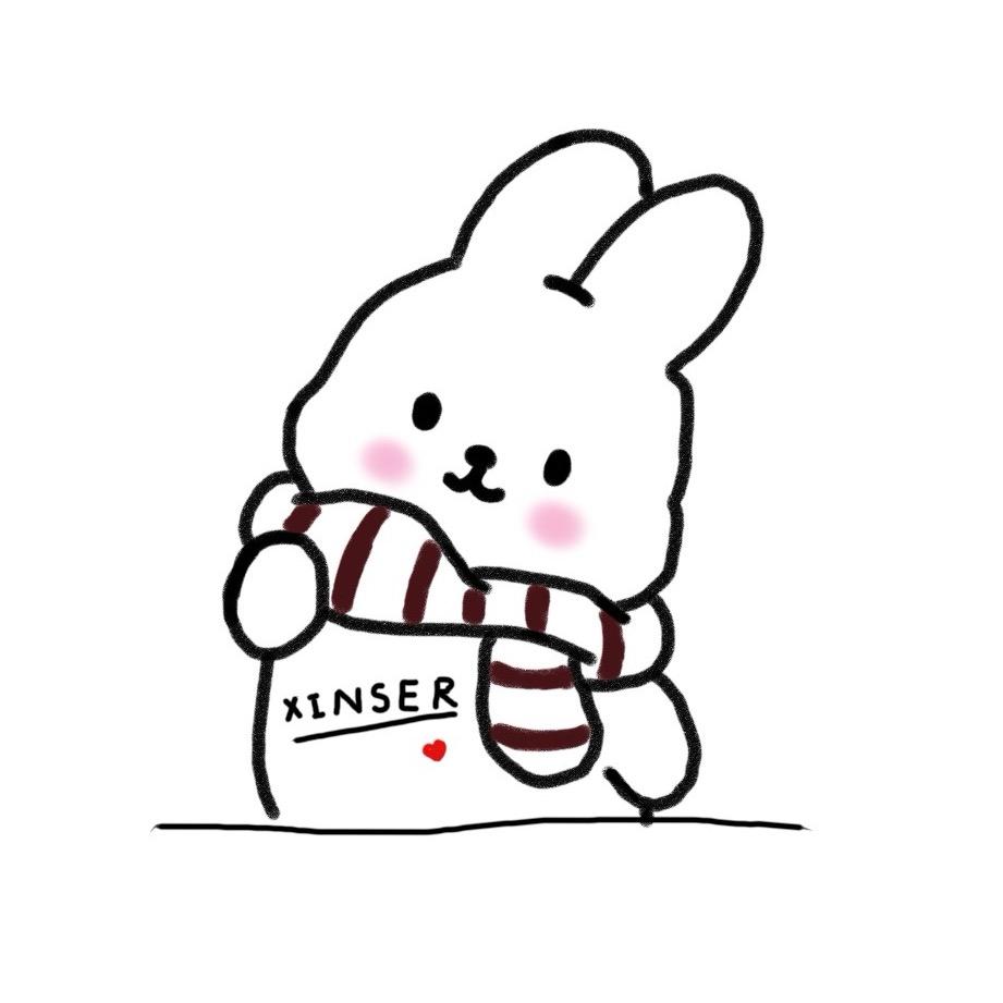 XINSER ಣ