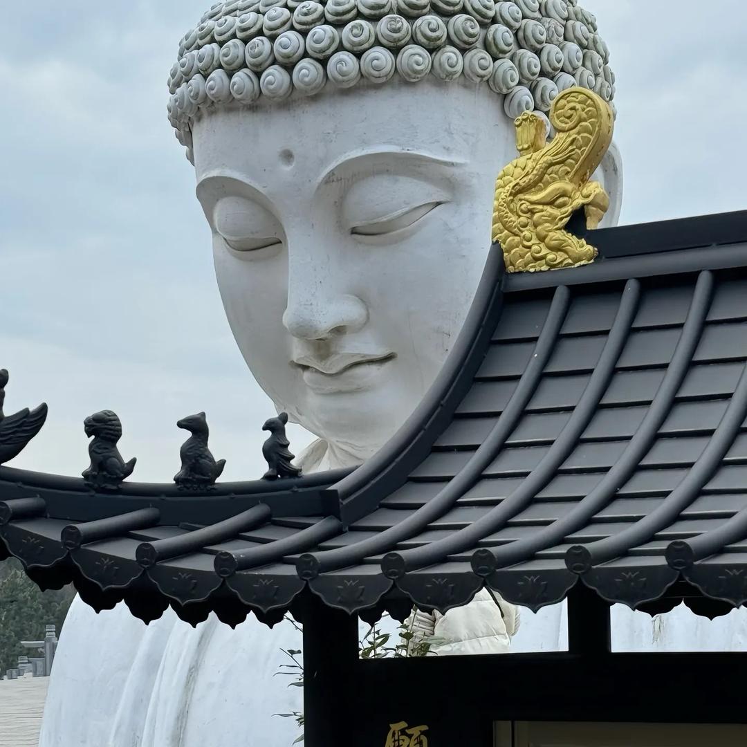 榮安琪收鑶世家