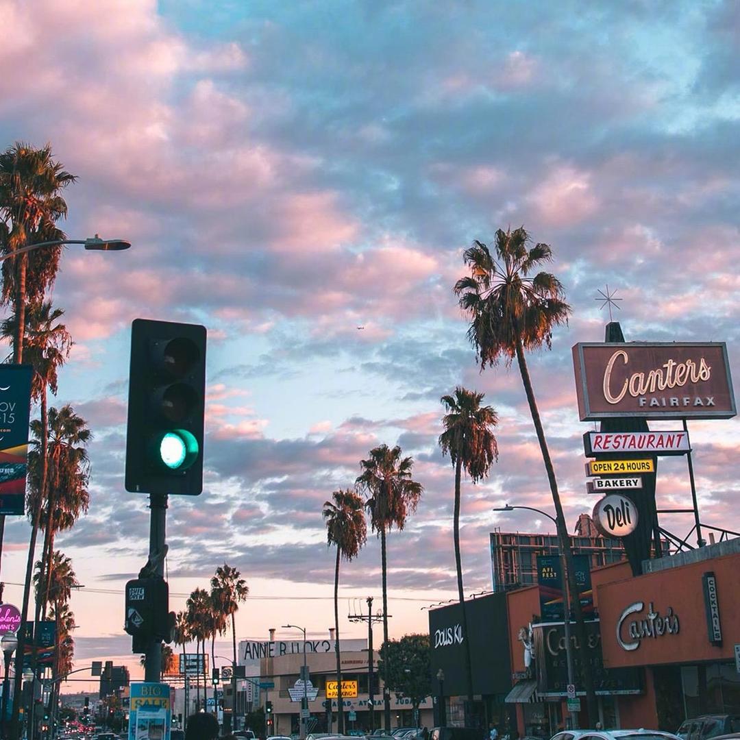 小刘要开心吖✨