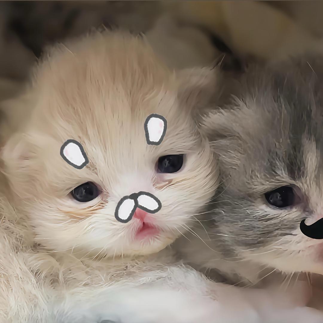 反