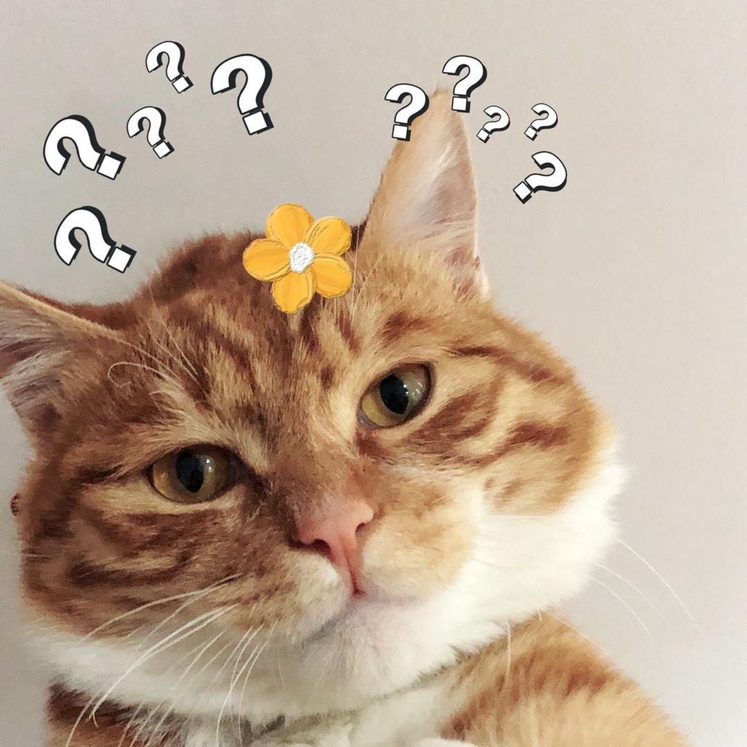 👄我的两颗＂萌芽＂