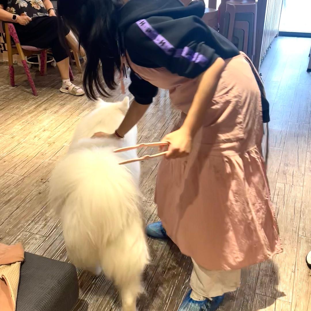 是钦妻.