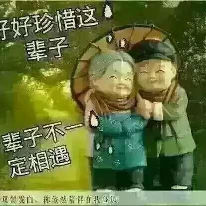 ✈️踏雪❄️❄️凌云⛅️🌩️