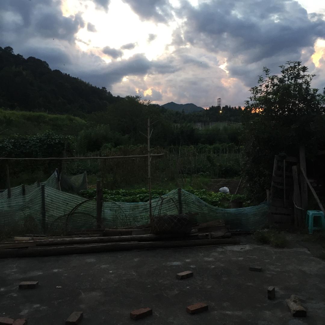 玩