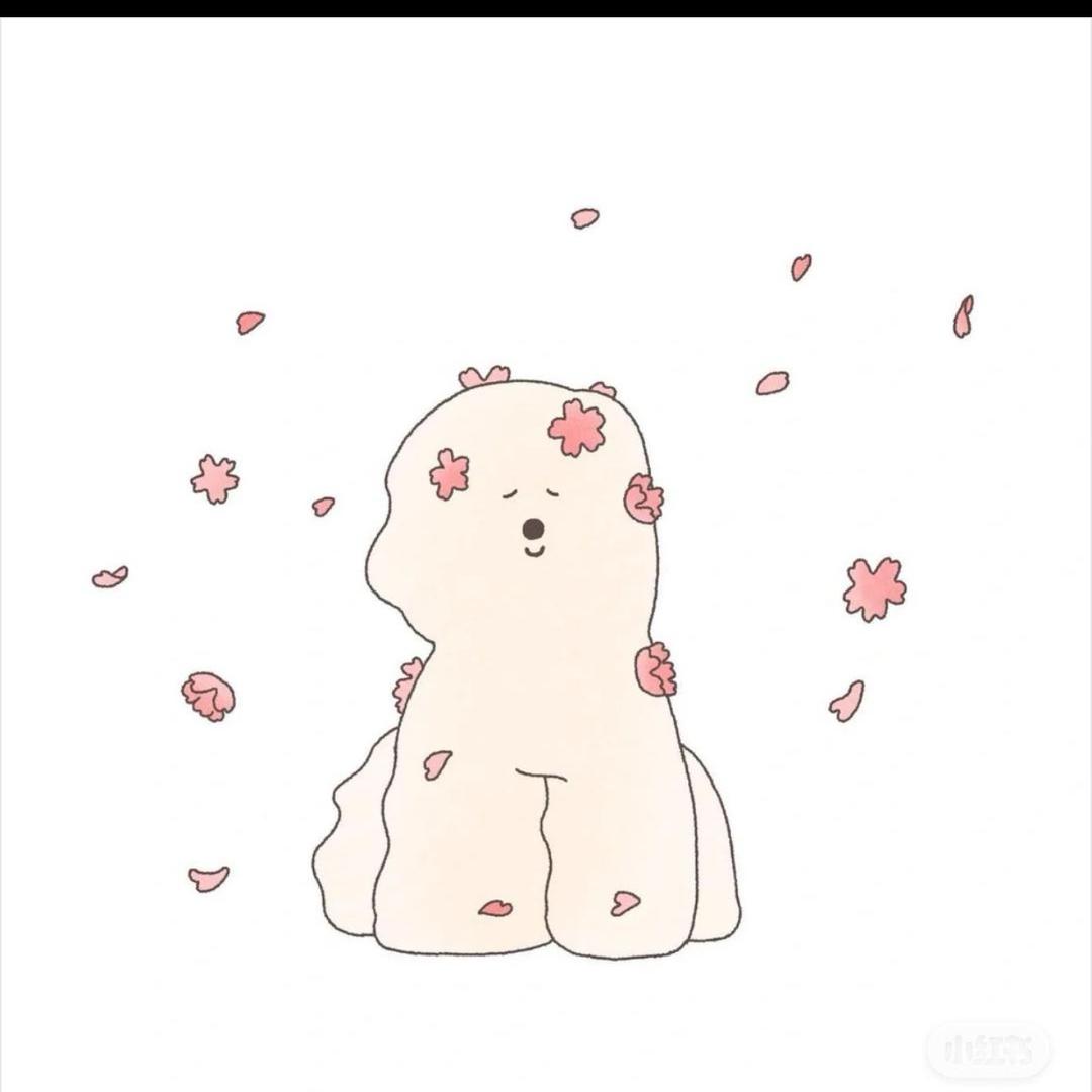 张培✨