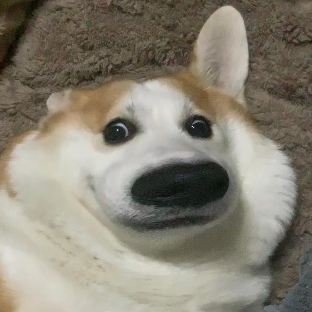 🐴仔汁