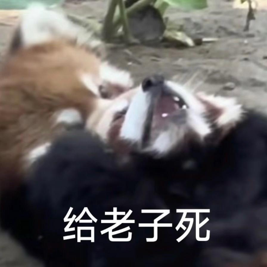 明月