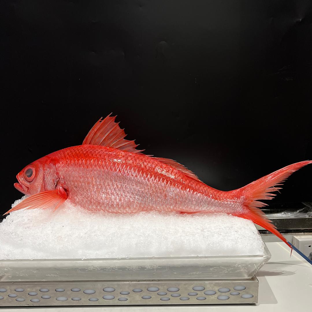 新姿刺身