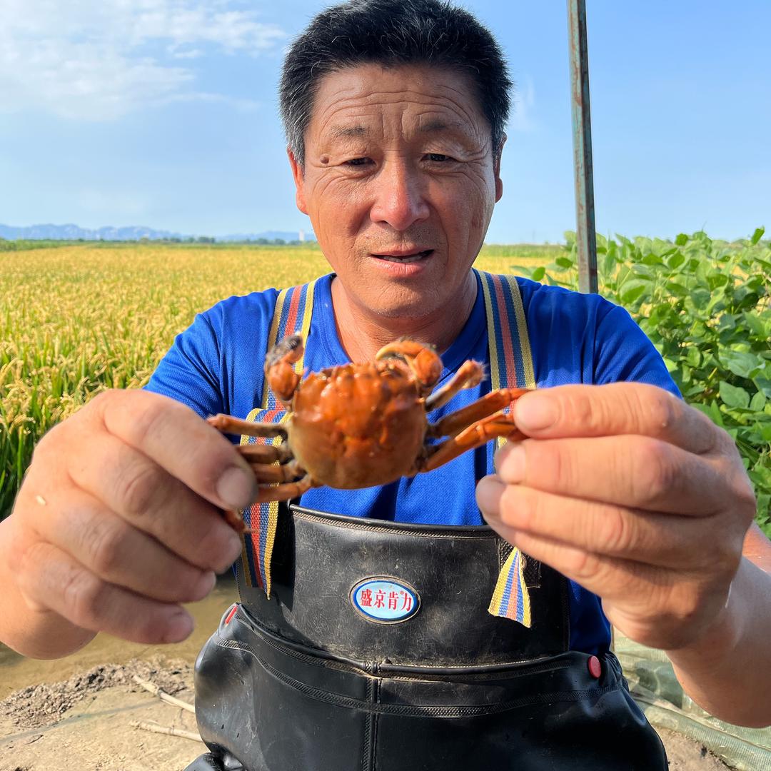 佟掌柜盘锦河蟹大米小时达