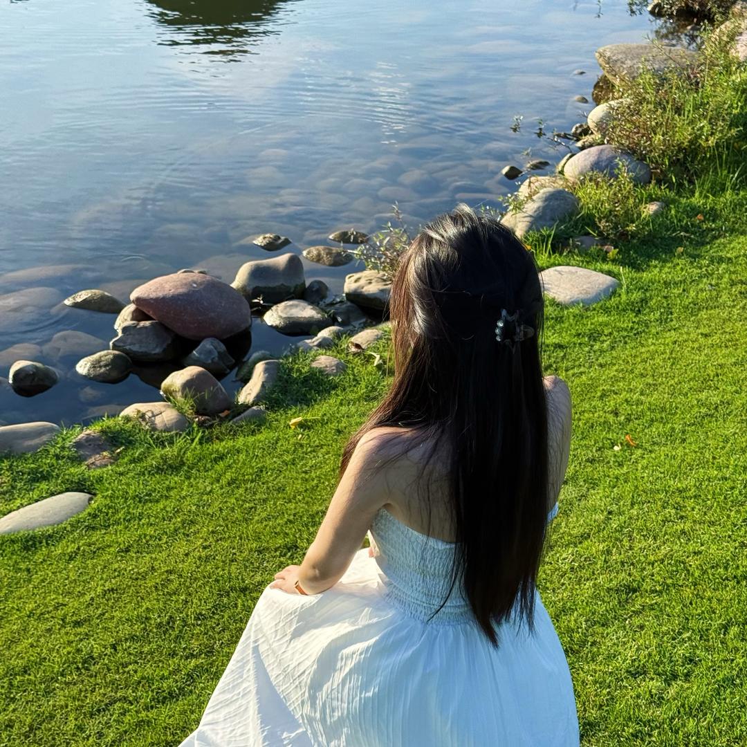 海棠.