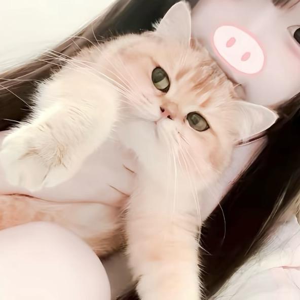 江奈