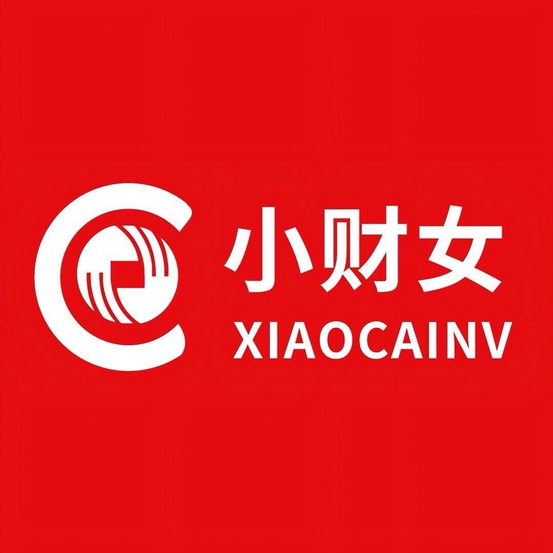 会计小阿姨