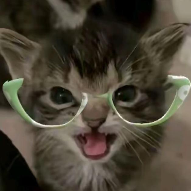 ✟人民币重度依赖✟