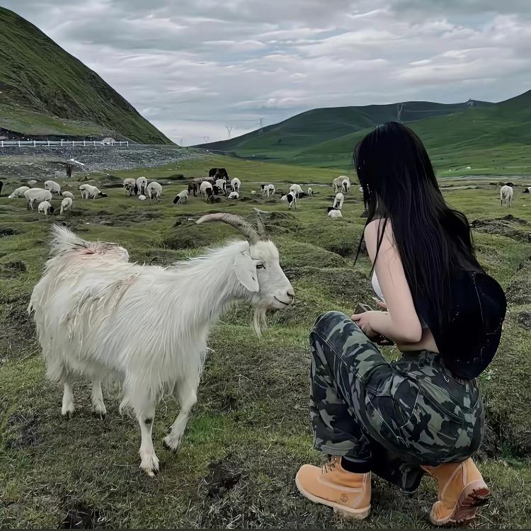 木木好物甄选❤️