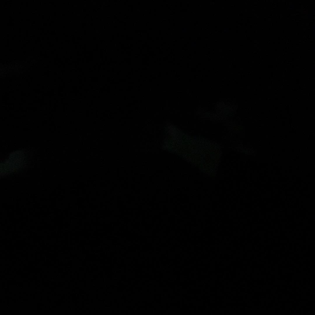 ㅤㅤㅤㅤㅤ