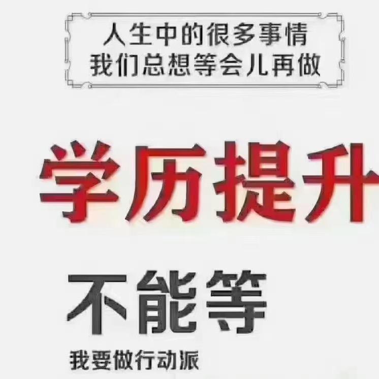 成考-高老师