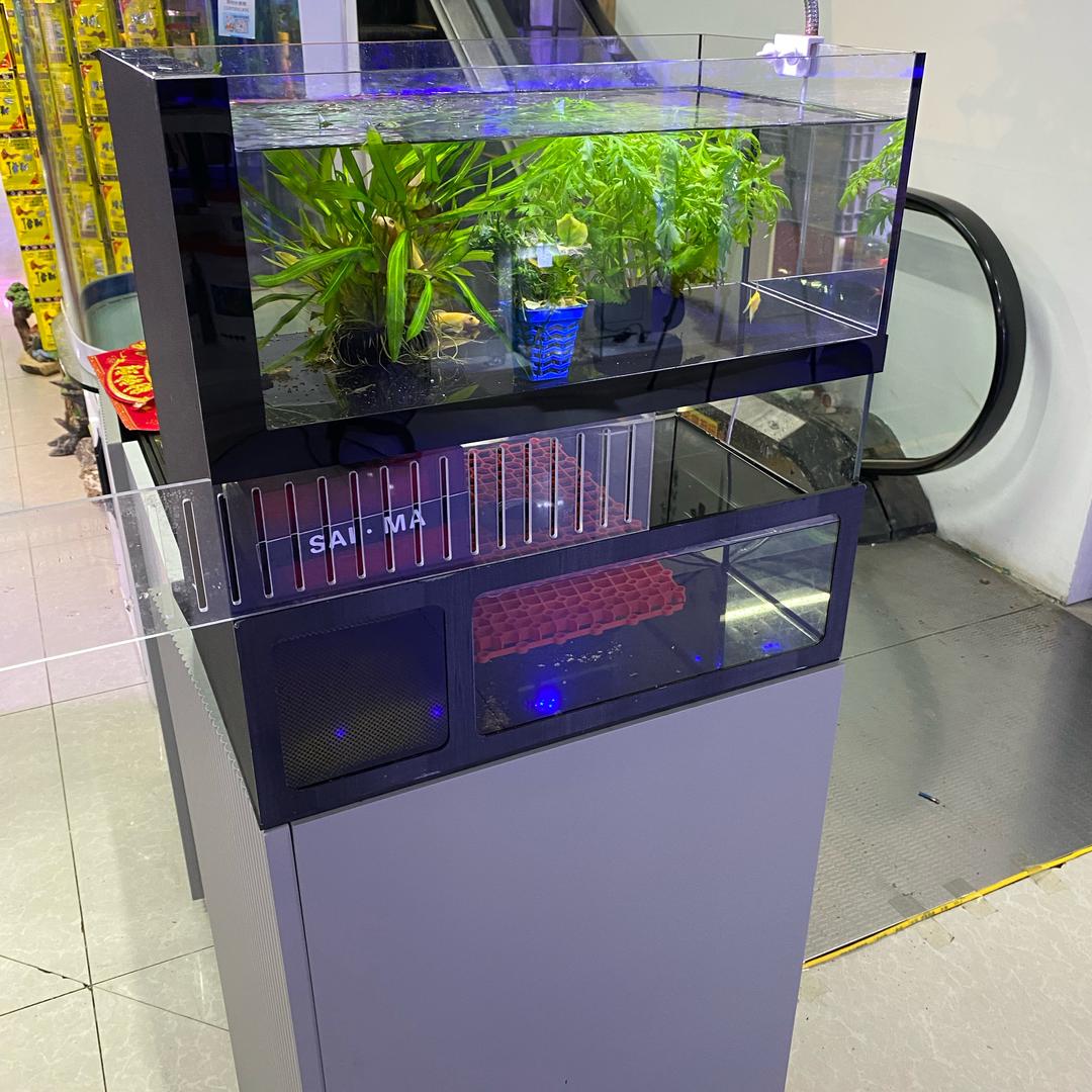 渔水缘水族大世界