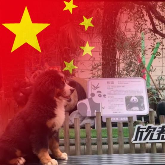 云南昆明华达伯恩山爱好者