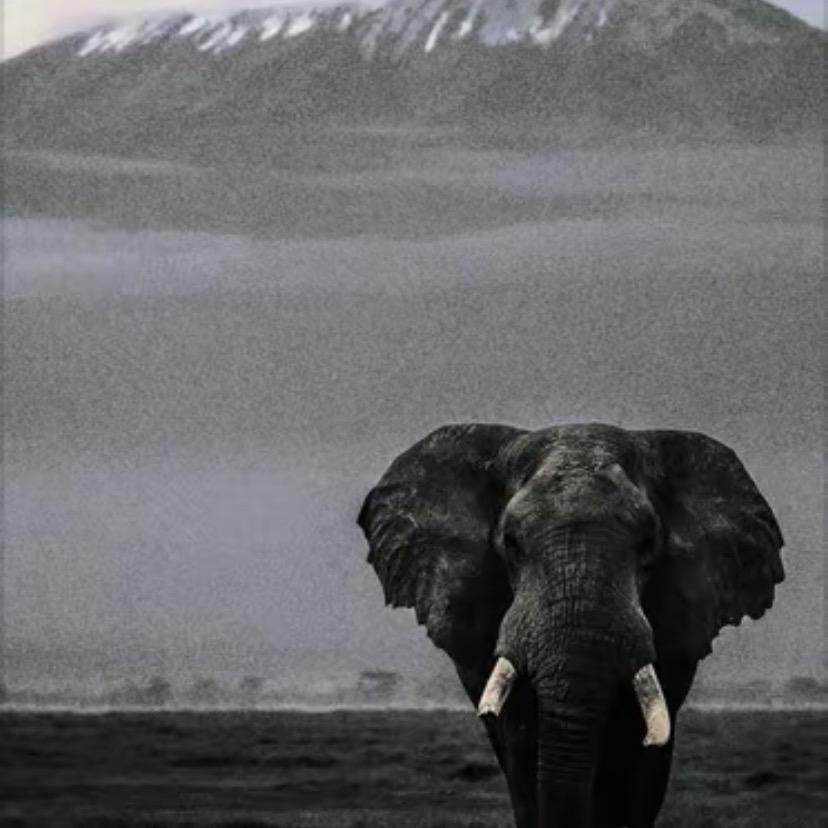 海风吹拂，日头渐落