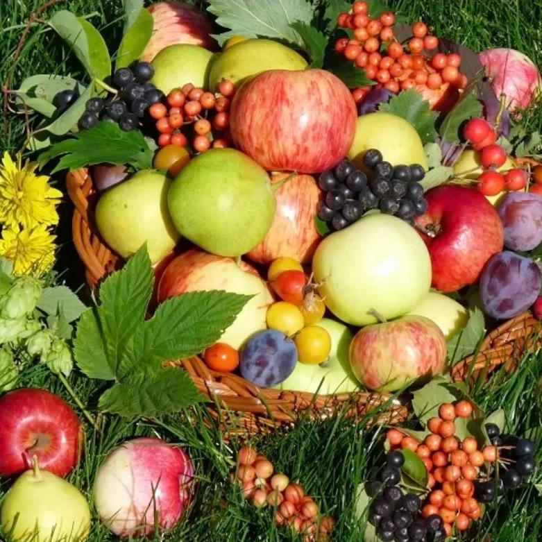 优优果蔬明日达