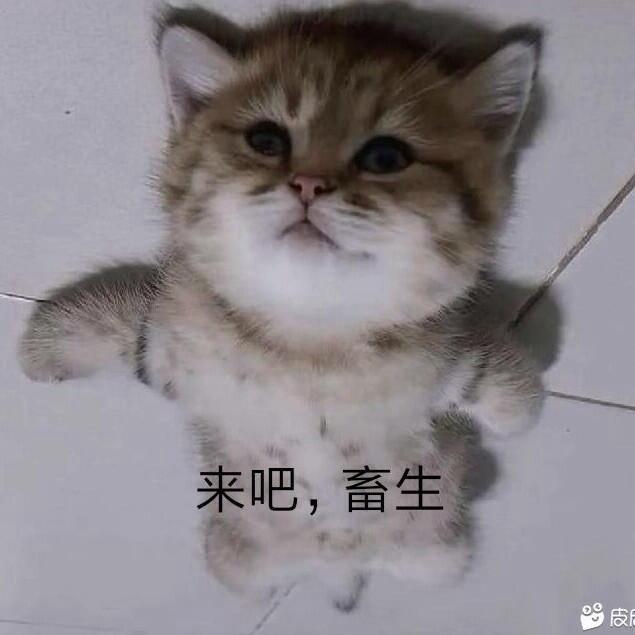 小垃吧唧
