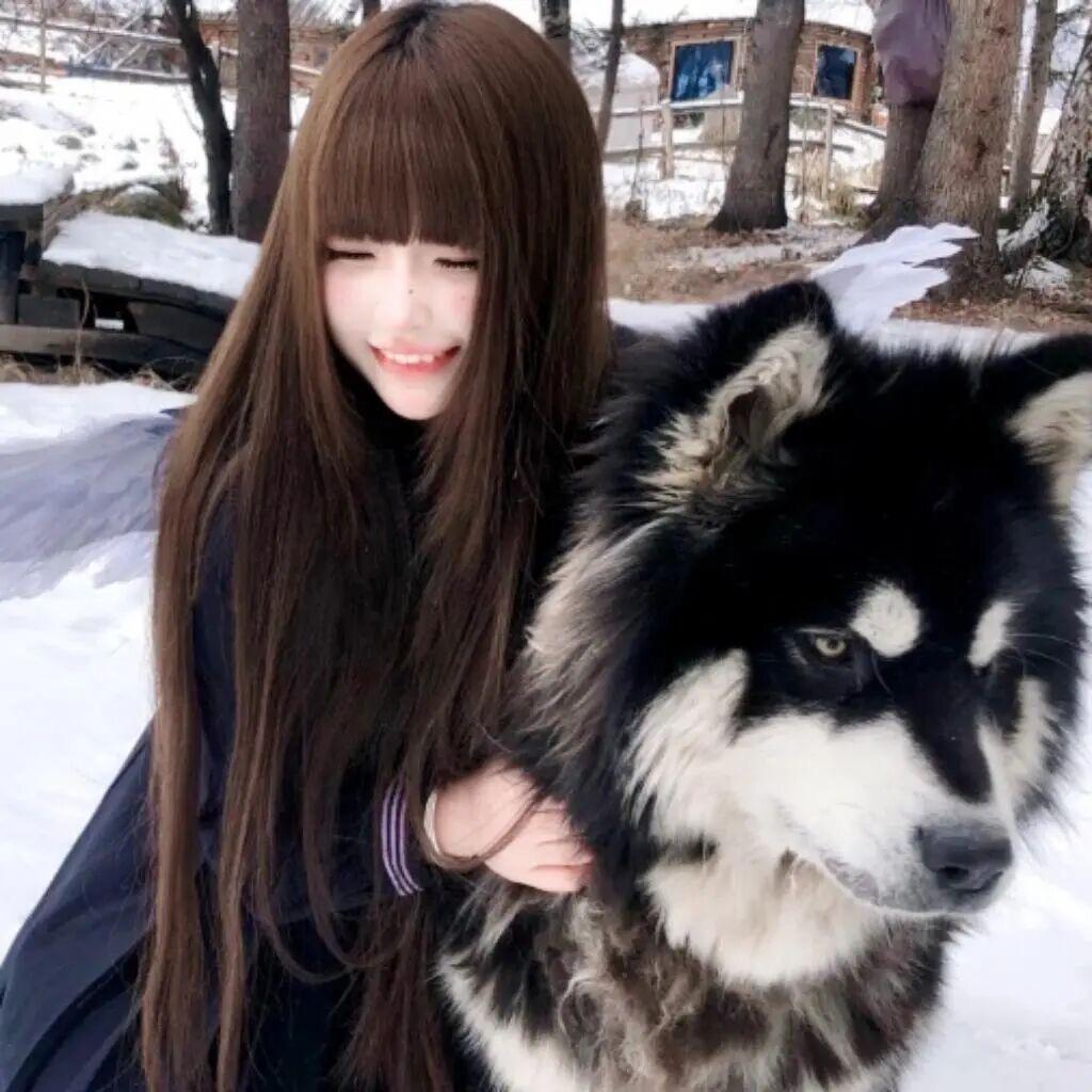 1229