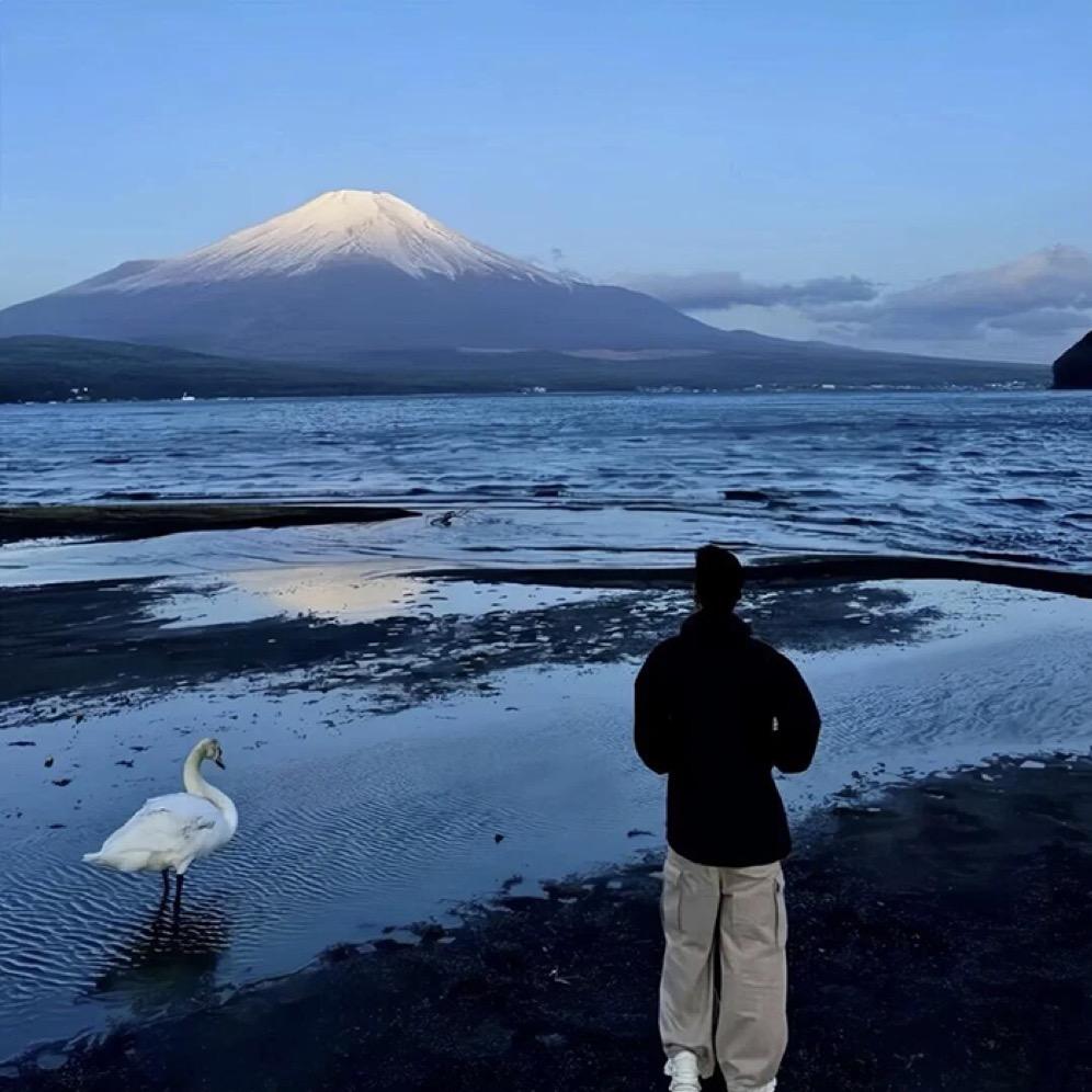 青霖