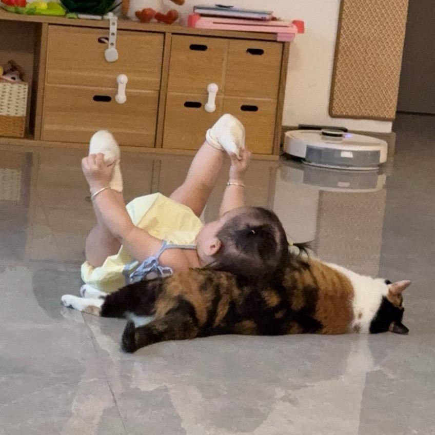 知芝酱躲猫猫
