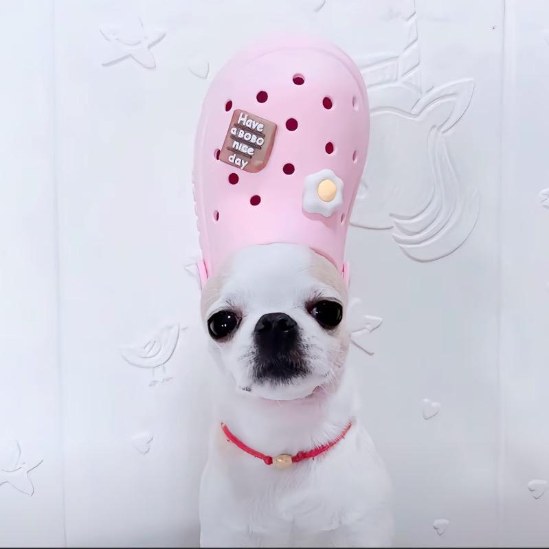 骨钉