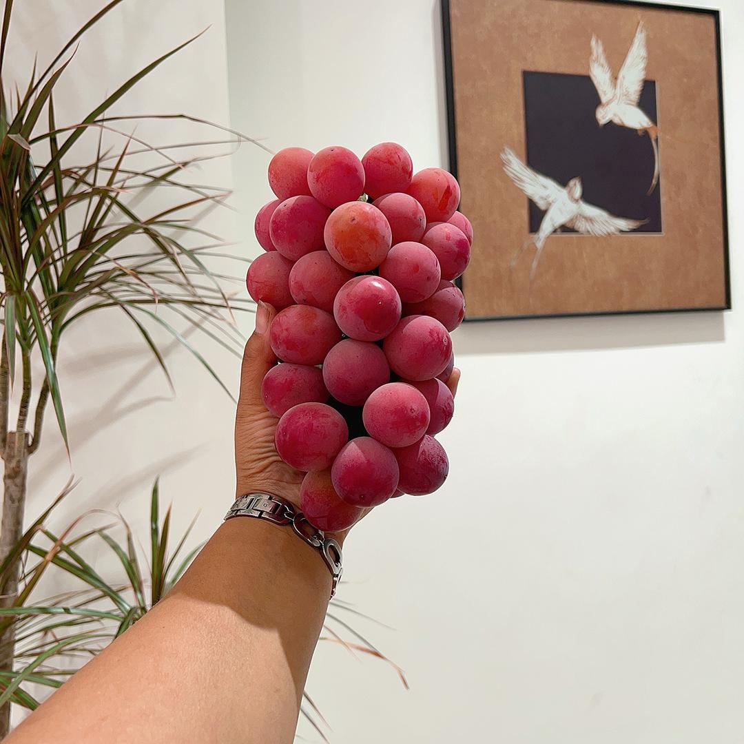 橙子🍊精品水果