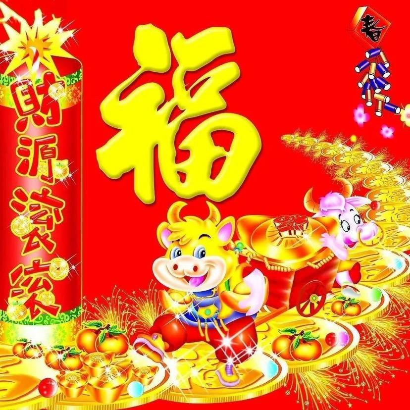 迷人的歌