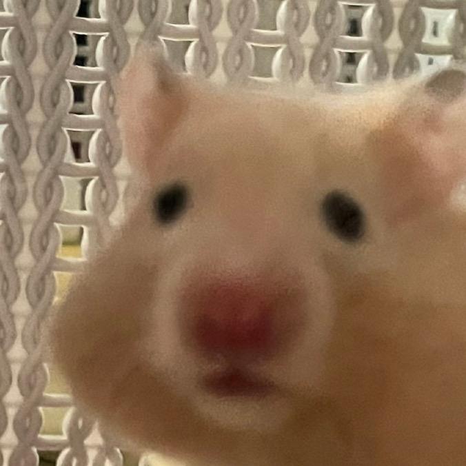 兄兄