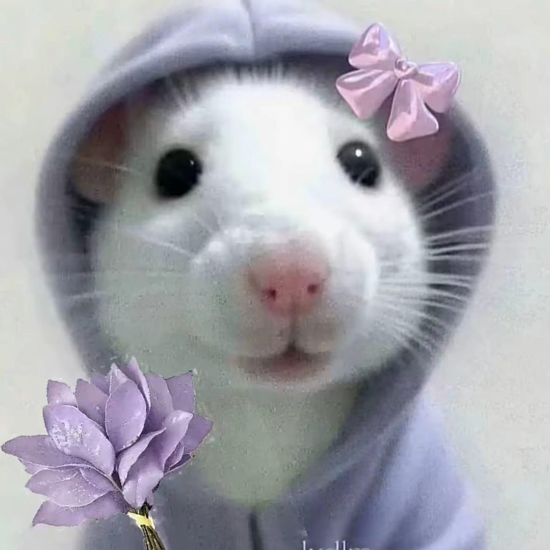 不是霉女     露❤️