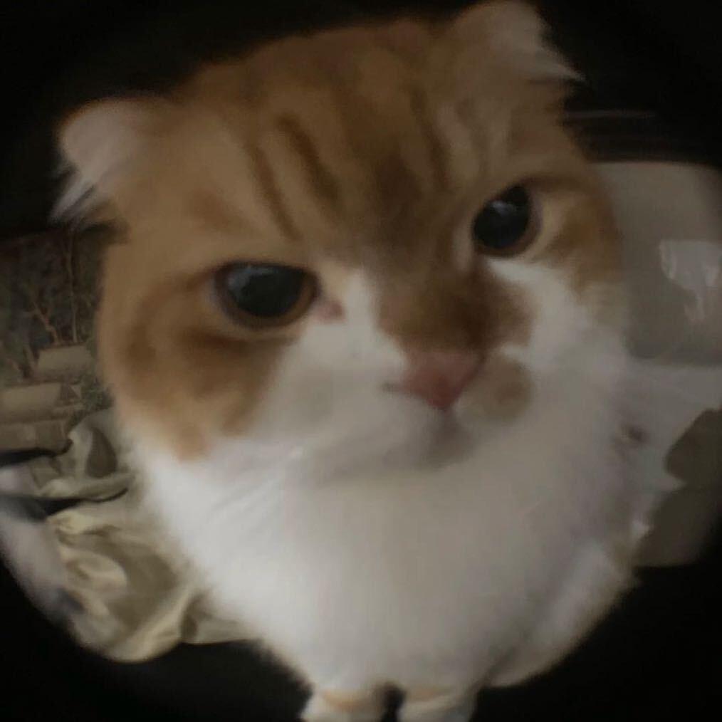 iuooo