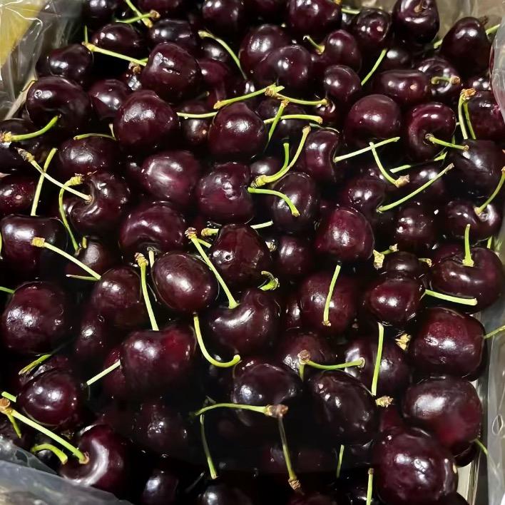 空运车厘子明日到