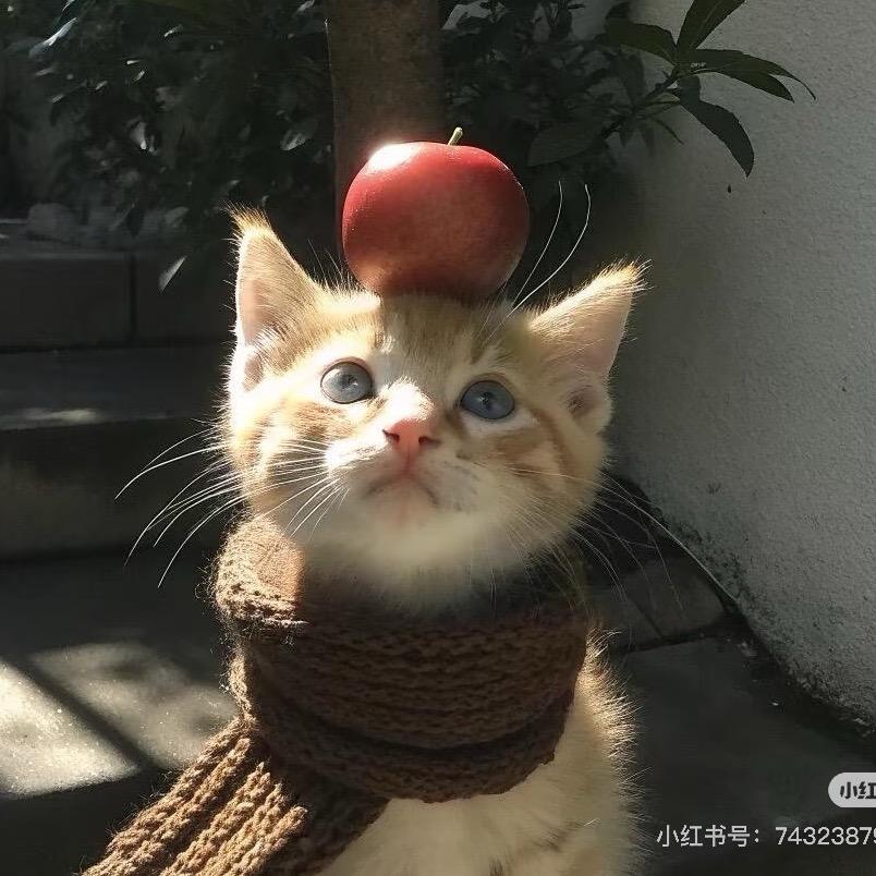 Yuan^