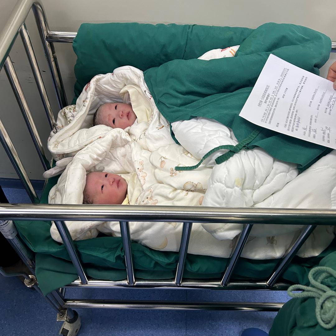 不闻不问（双胞胎）